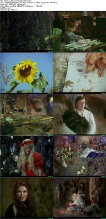 The Enchanted Grove 1980 DVDRip DD2.0 x264-NOGROUP