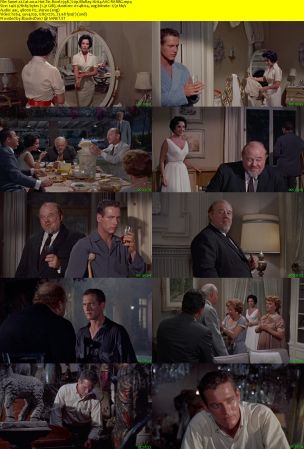 Cat on a Hot Tin Roof 1958 720p BluRay H264 AAC-RARBG