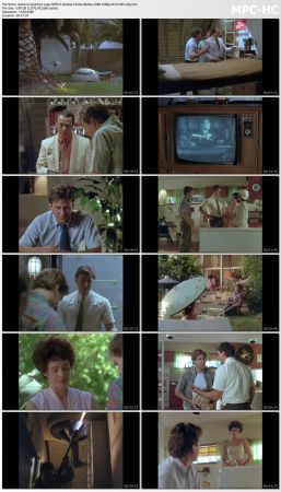 Quantum Leap S03 BluRay 10Bit 1080p AC3 H265-d3g
