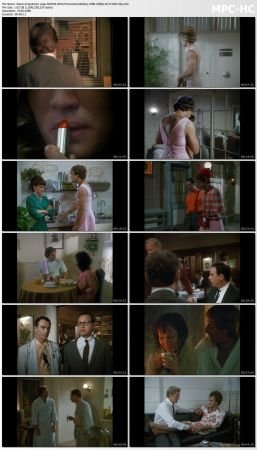 Quantum Leap S02 BluRay 10Bit 1080p AC3 H265-d3g