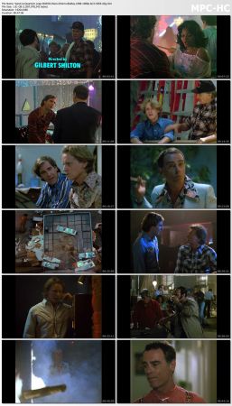 Quantum Leap S02 BluRay 10Bit 1080p AC3 H265-d3g
