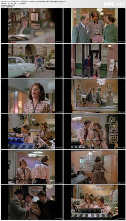 Quantum Leap S02 BluRay 10Bit 1080p AC3 H265-d3g