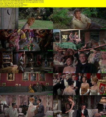 The Unsinkable Molly Brown 1964 BRRip XviD MP3-XVID