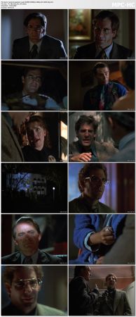 Quantum Leap S04 WEBRip 1080p AC3 H265-d3g