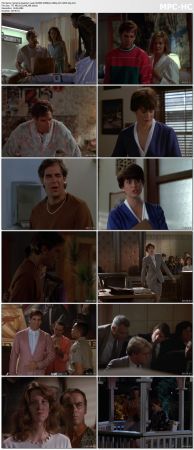 Quantum Leap S04 WEBRip 1080p AC3 H265-d3g
