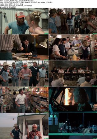 Alamo Bay 1985 BDrip 1080p AAC x264 monQ