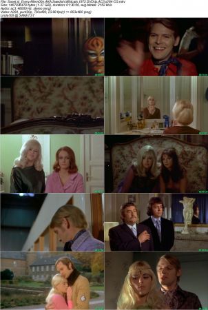 Swedish Wildcats (Every Afternoon) 1972 DVDRip AC3 x264 - CG