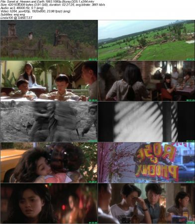 Heaven and Earth 1993 1080p Bluray DD5.1 x264- NOGROUP