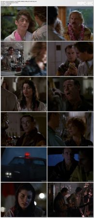 Quantum Leap S04 WEBRip 1080p AC3 H265-d3g