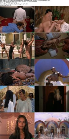 Love Camp (Die Todesgöttin des Liebescamps) 1981 DVDRiP DD2.0 x264 NoGroup