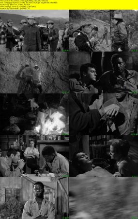 The Defiant Ones 1958 BRRip XviD MP3-XVID