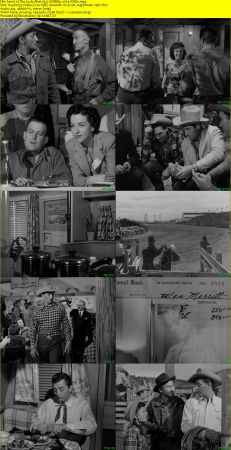The Lusty Men 1952 WEBRip x264-ION10