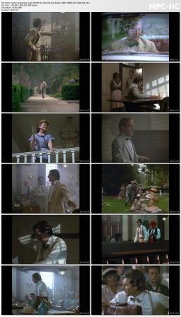 Quantum Leap S02 BluRay 10Bit 1080p AC3 H265-d3g