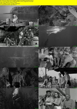 Creature From The Black Lagoon 1954 BRRip XviD MP3-XVID