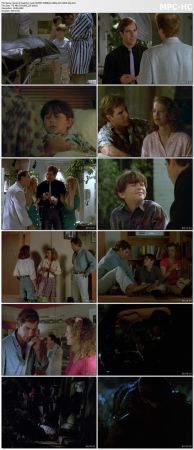 Quantum Leap S04 WEBRip 1080p AC3 H265-d3g