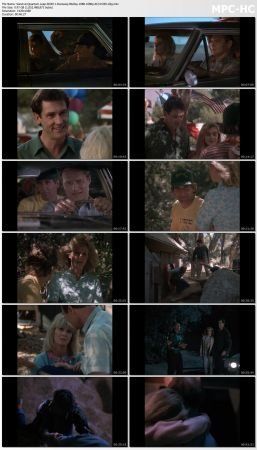 Quantum Leap S03 BluRay 10Bit 1080p AC3 H265-d3g