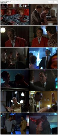 Quantum Leap S04 WEBRip 1080p AC3 H265-d3g