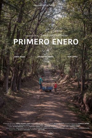 January (Primero Enero) 2016 720p WEB-DL AAC H.264 - Sammahel