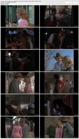 Quantum Leap S03 BluRay 10Bit 1080p AC3 H265-d3g