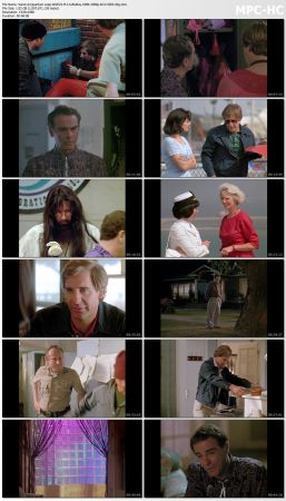 Quantum Leap S02 BluRay 10Bit 1080p AC3 H265-d3g