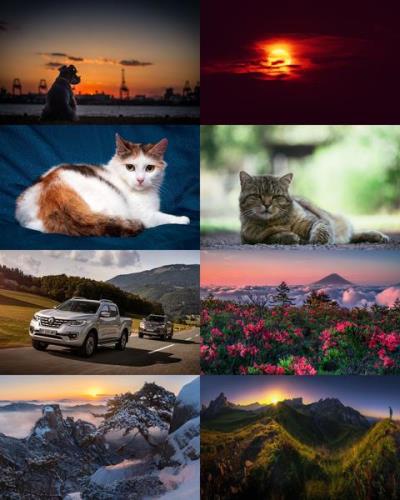Desktop Wallpapers Mixed Pack # 770