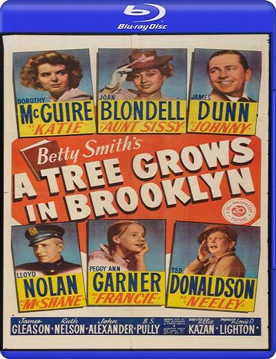 A Tree Grows in Brooklyn 1945 BRRip XviD MP3-XVID