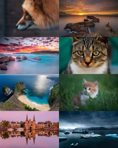 Desktop Wallpapers Mixed Pack # 772
