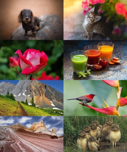 Desktop Wallpapers Mixed Pack # 773