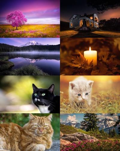 Desktop Wallpapers Mixed Pack # 771