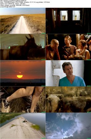 Euphoria 2006 WEBRip MP3 XviD - NoGroup