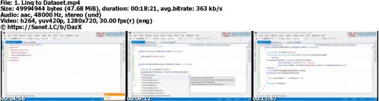 LINQ from Basic to Advanced