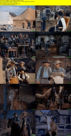 Trigger Jr. 1950 BRRip XviD MP3-XVID