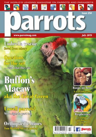  Parrots - Issue 258, July 2019