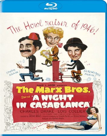 A Night in Casablanca 1946 BRRip XviD MP3-XVID