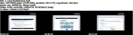 LINQ from Basic to Advanced