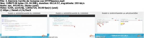 Servlets y JSPs: Domina las tecnologías Java Web y Java EE