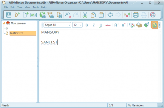 AllMyNotes Organizer Deluxe 3.30 Build 915 Multilingual