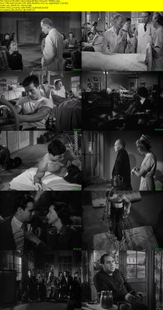 The Men 1950 1080p BluRay H264 AAC-RARBG