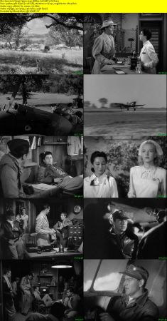Flying Tigers 1942 BRRip XviD MP3-XVID