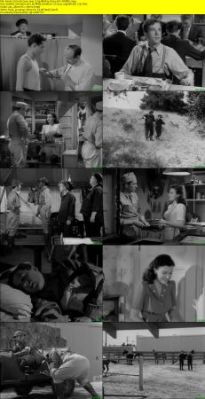 Great Guns 1941 720p BluRay H264 AAC-RARBG