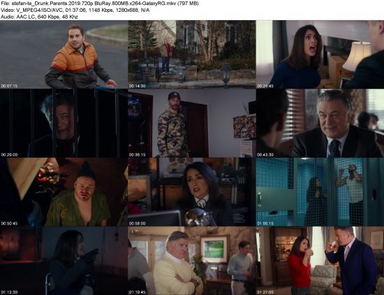 Drunk Parents (2019) 720p BluRay 800MB x264-GalaxyRG
