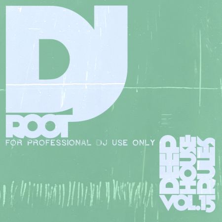 VA - Deephouse Rules Vol.15 (2019)