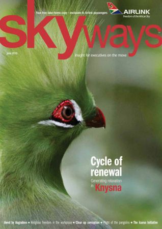 Skyways - June 2019