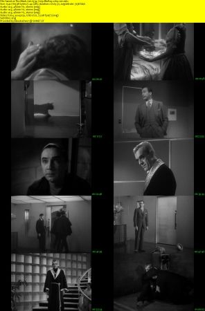 The Black Cat 1934 720p BluRay x264-x0r