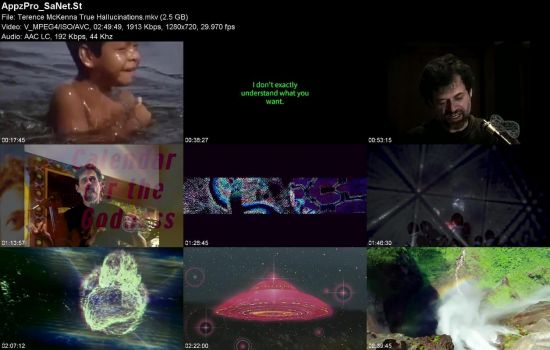 Terence McKenna's True Hallucinations 2016 WEBRip AAC -KG