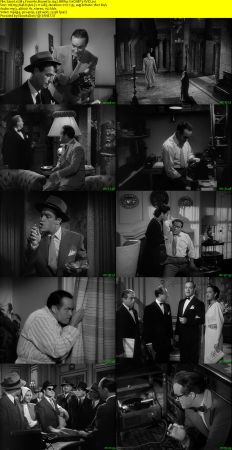 My Favorite Brunette 1947 BRRip XviD MP3-XVID