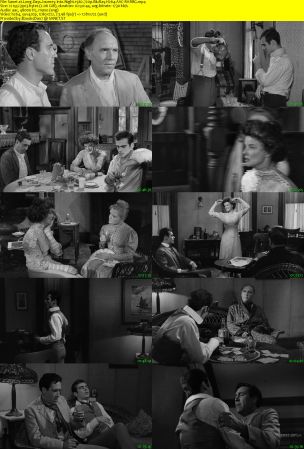 Long Days Journey Into Night 1962 720p BluRay H264 AAC-RARBG