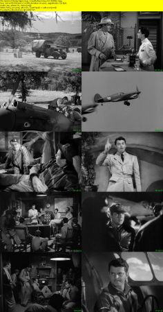 Flying Tigers 1942 720p BluRay H264 AAC-RARBG