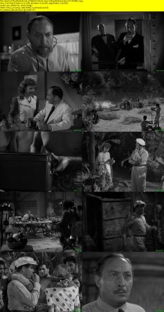The Mad Doctor of Market Street 1942 1080p BluRay H264 AAC-RARBG