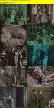 The Birth of a Nation 1915 Photoplay Restoration 720p BluRay H264 AAC-RARBG